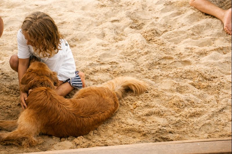 El cerebro infantil en la era de la inteligencia artificial: ¿infancias cada vez más aceleradas y&nbsp;frágiles?